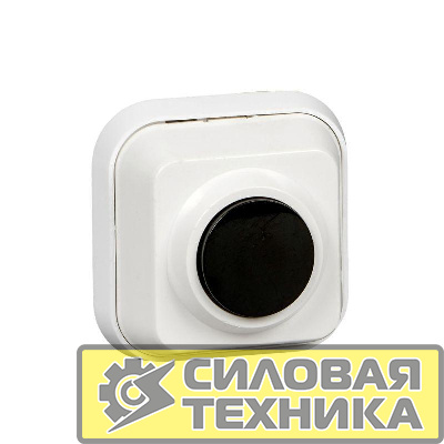Выключатель кнопочный 250В 0.4А с метал. монтажной пластиной для элекрозвонков DIY SchE A1-04-011M-I